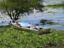Boats were nestled in among the water hyacinth.