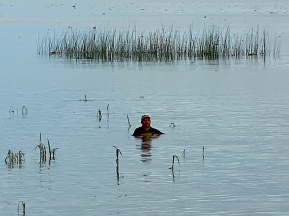 Can you guess why this man is standing out in the lake fully clothed?