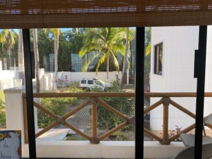 Front garden of beach house